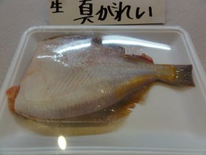 真カレイ