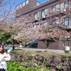 202505FMびゅー桜